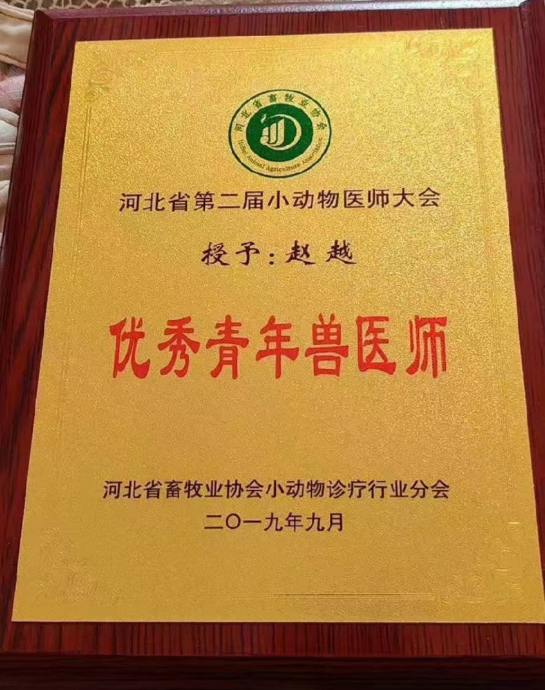 文章插图