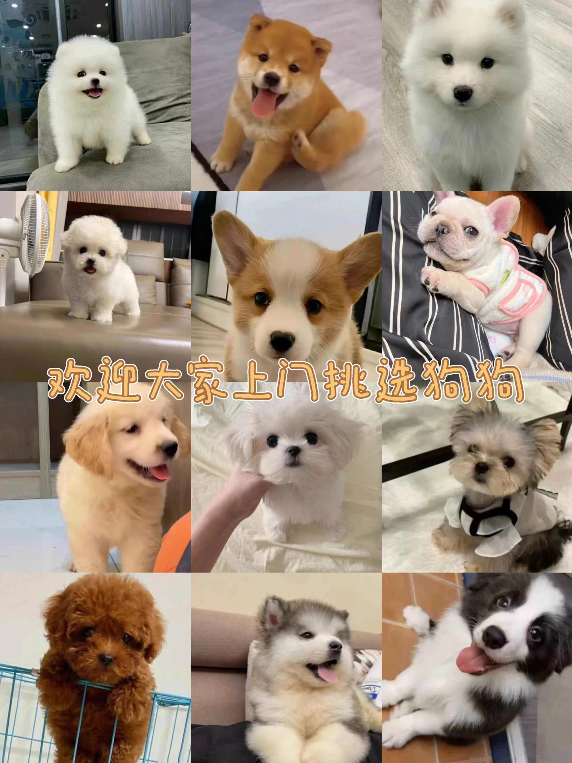 微信图片_20240426205627.jpg